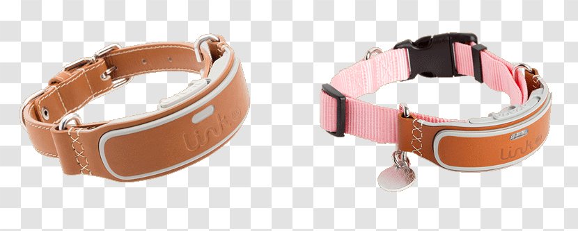 Dog Collar Cat Puppy - Veterinarian Transparent PNG