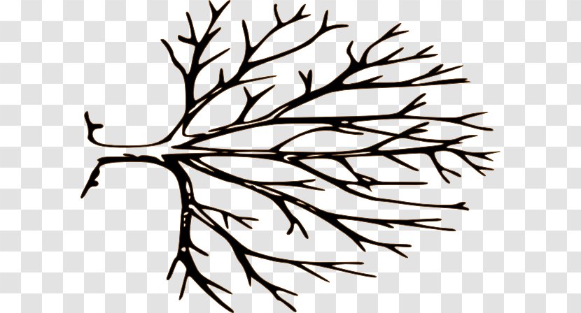 Branch Tree Royalty-free Clip Art - Twig - Stencil Cliparts Transparent PNG