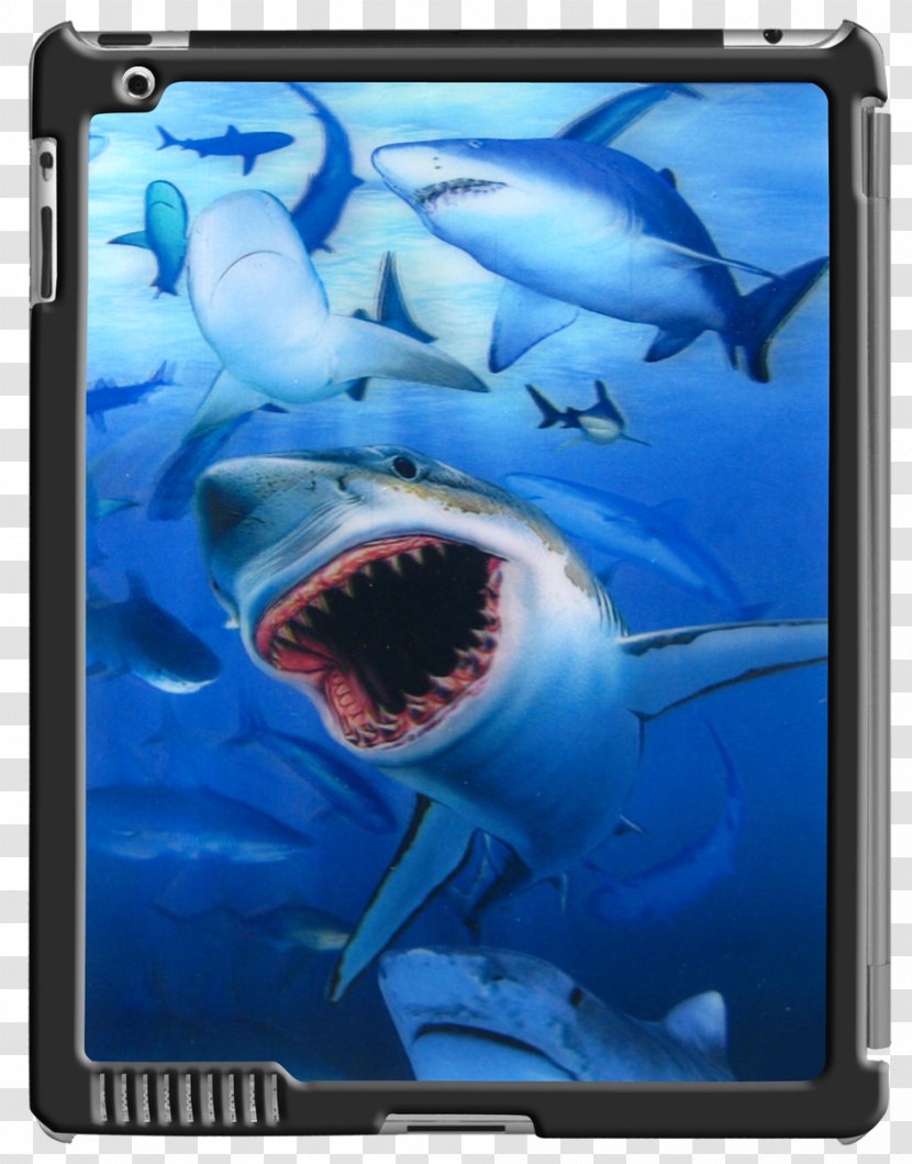 Great White Shark IPad 3 2 Lenticular Printing Lens - Gadget - 3d Transparent PNG