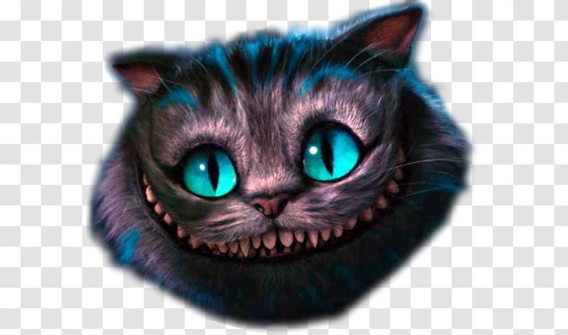 Cheshire Cat Alice's Adventures In Wonderland Mad Hatter Alice Transparent PNG
