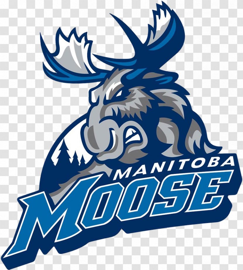 Manitoba Moose American Hockey League Winnipeg Jets Bell MTS Place Rockford IceHogs - Artwork - Icehogs Transparent PNG