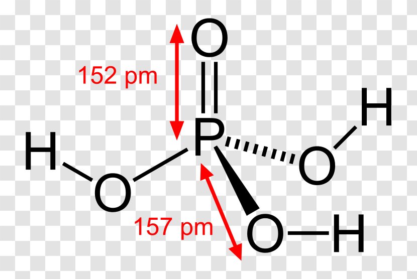 Phosphoric Acids And Phosphates Chemistry Mineral Acid - Ester - Technology Transparent PNG