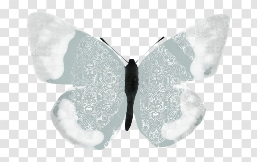 Butterfly Silkworm Insect Moth Pollinator - Blue Transparent PNG