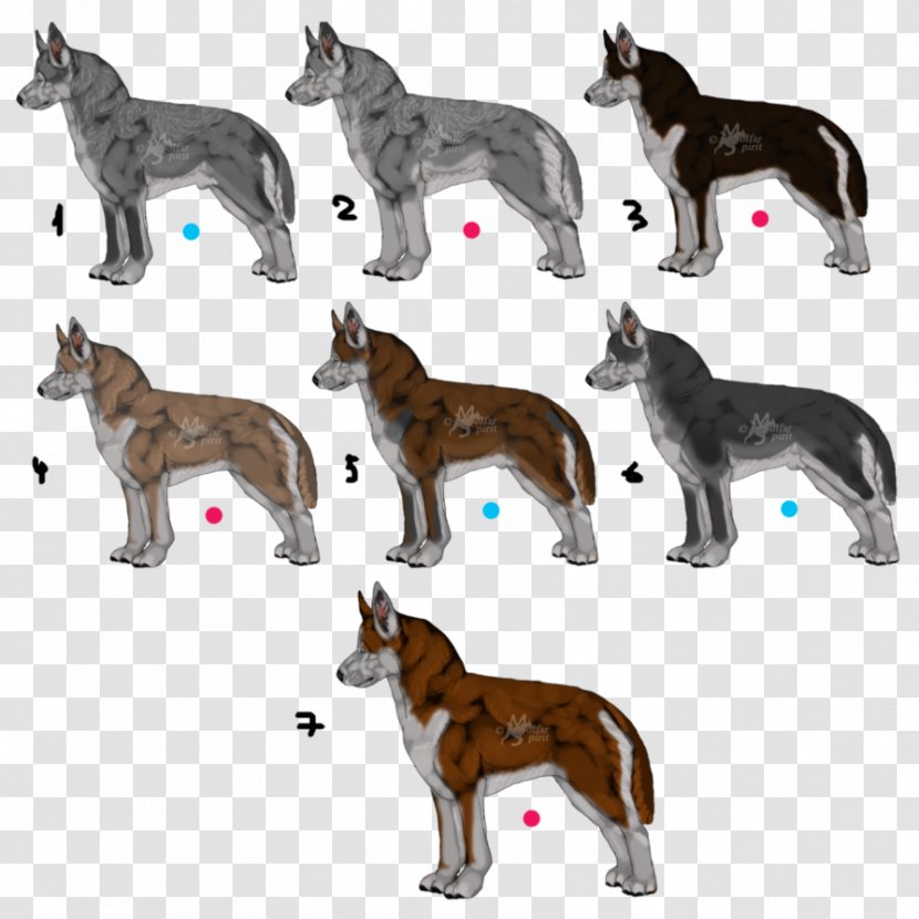 Dog Breed Dachshund English Mastiff Bulldog Yorkshire Terrier - Husky SiBERIAN Transparent PNG