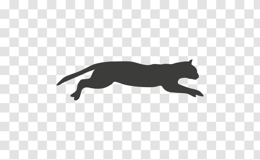 Cat Animation - Mammal - Runner Transparent PNG