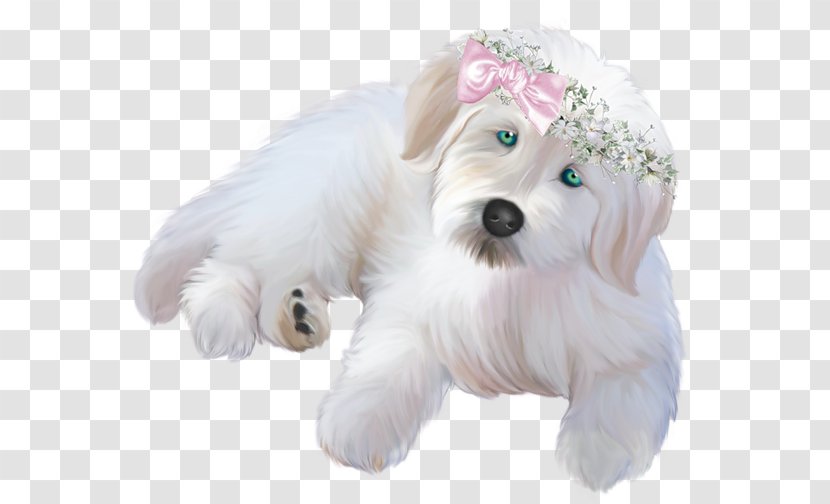 Dachshund West Highland White Terrier Chihuahua Standard Schnauzer Puppy - Cuteness - Cute Animals Transparent PNG