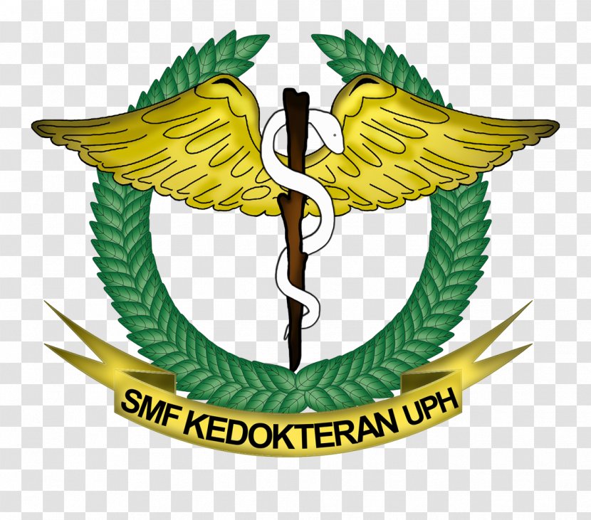 University Of Pelita Harapan Medical School Himpunan Mahasiswa Jurusan Badan Eksekutif The Christian Indonesia - Senat - Management Transparent PNG