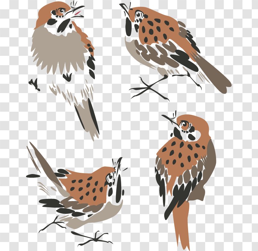Bird Chinese Painting - Drawing - Ink Sparrow Transparent PNG