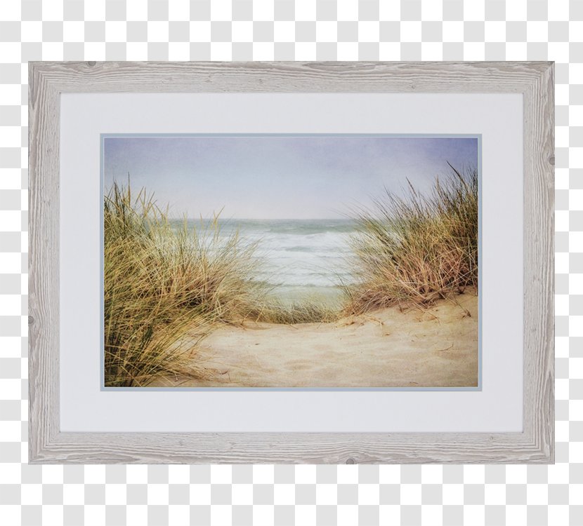 Picture Frames Painting Wall Art - Decal Transparent PNG