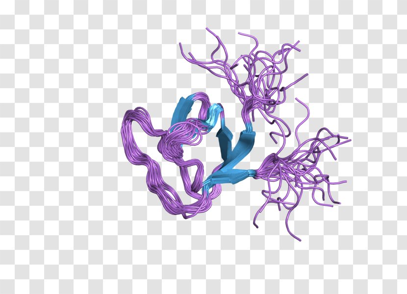 Neutrophil Cytosolic Factor 2 Gene Protein Transparent PNG