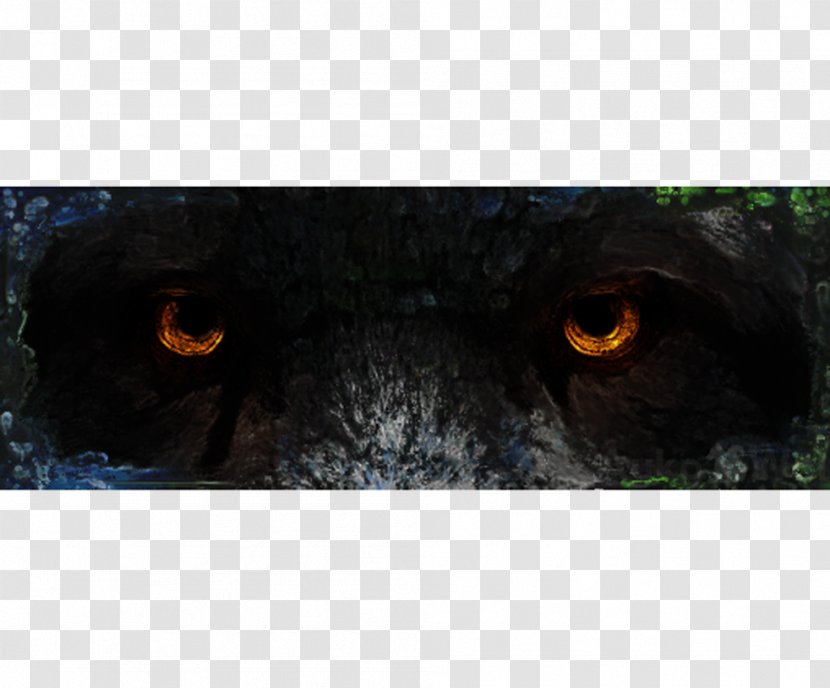 Dog Snout Close-up Black Panther - Fauna Transparent PNG