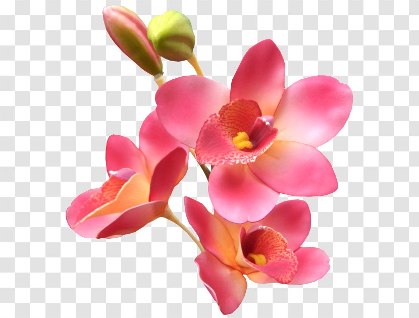 Love Good Romance Giphy - Orchid Transparent PNG