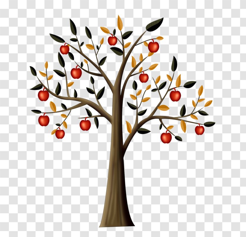 Drawing Tree Apple Clip Art - Auglis - Painted Transparent PNG