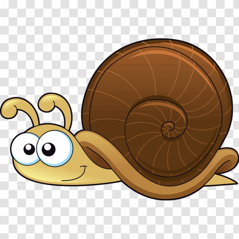 Drawing Snails And Slugs Clip Art - Invertebrate - Schnecke Clipart Transparent PNG