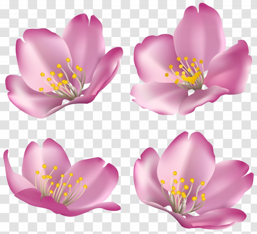 Smurfette Brainy Smurf Animation - Cherry Blossom - Flowers For Decoration Clip Art Image Transparent PNG