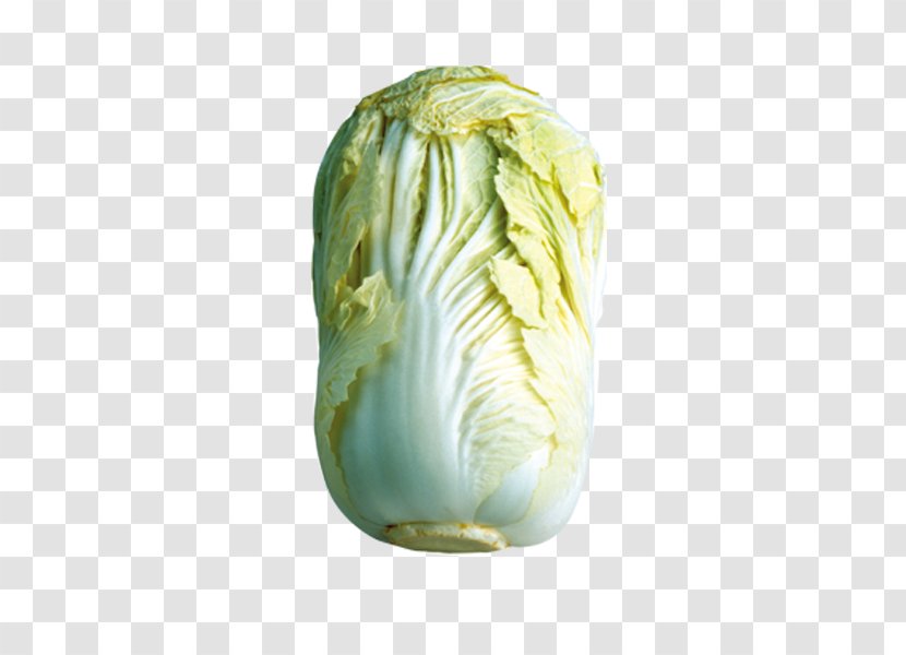 Napa Cabbage Vegetable Chinese Food Transparent PNG