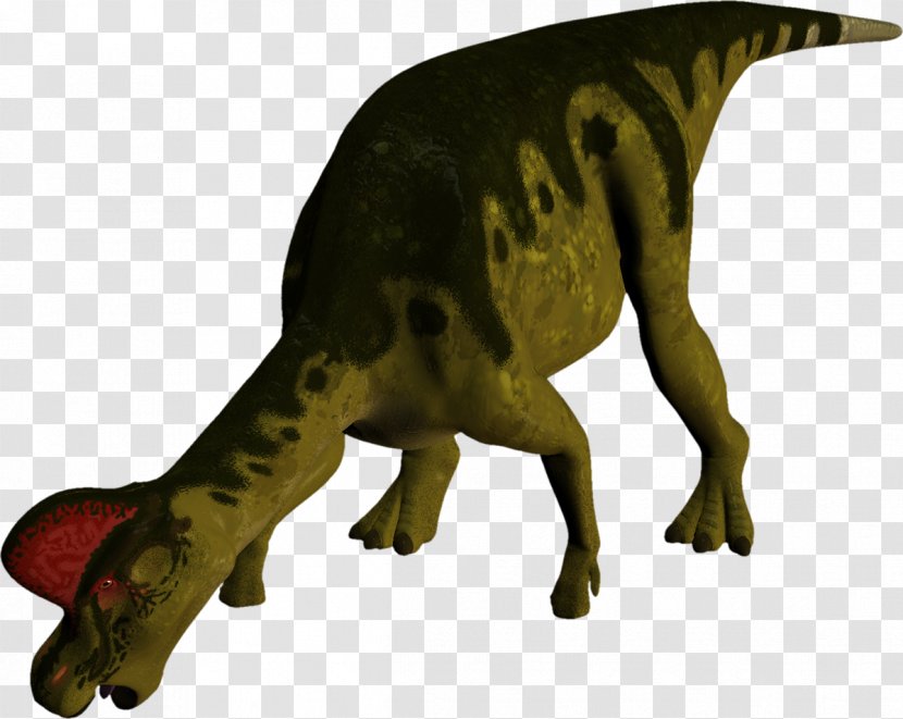 Tyrannosaurus Dinosaur Fauna Terrestrial Animal Extinction - Tail Transparent PNG