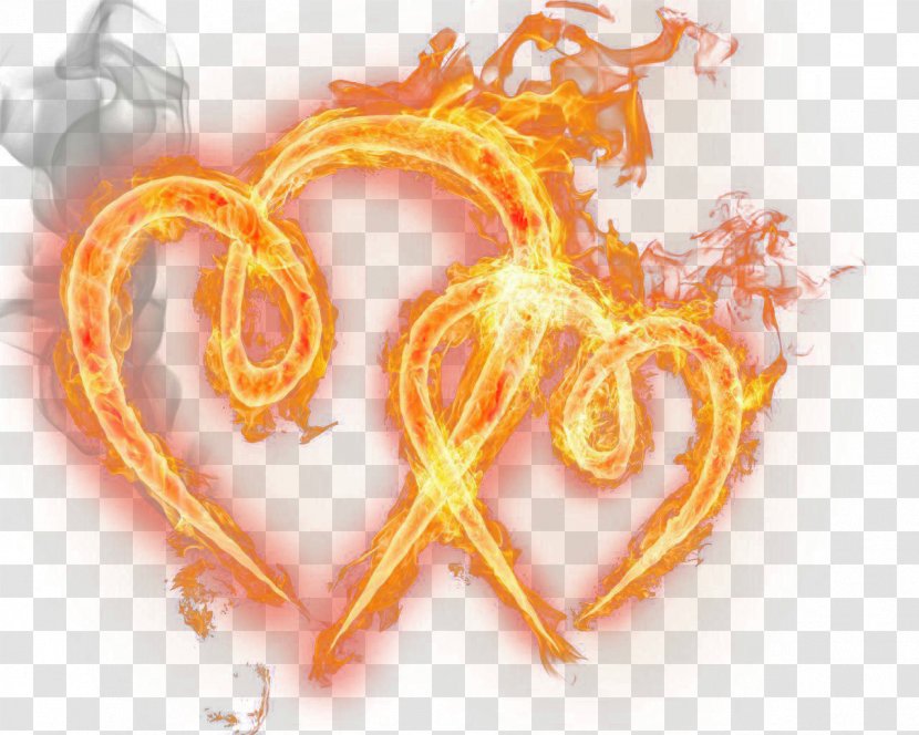 Clip Art Image Flame Fire - Burning Transparent PNG