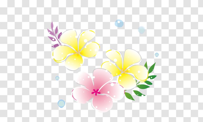 Plumeria Flower. - Flowering Plant - Yellow Transparent PNG