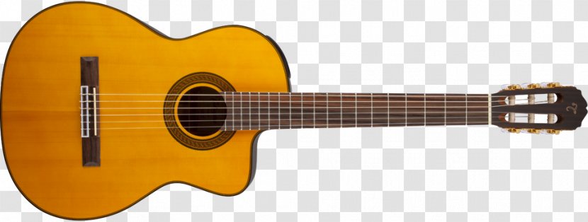 Takamine Guitars Classical Guitar Acoustic-electric Steel-string Acoustic - Watercolor - Old Jazz Transparent PNG
