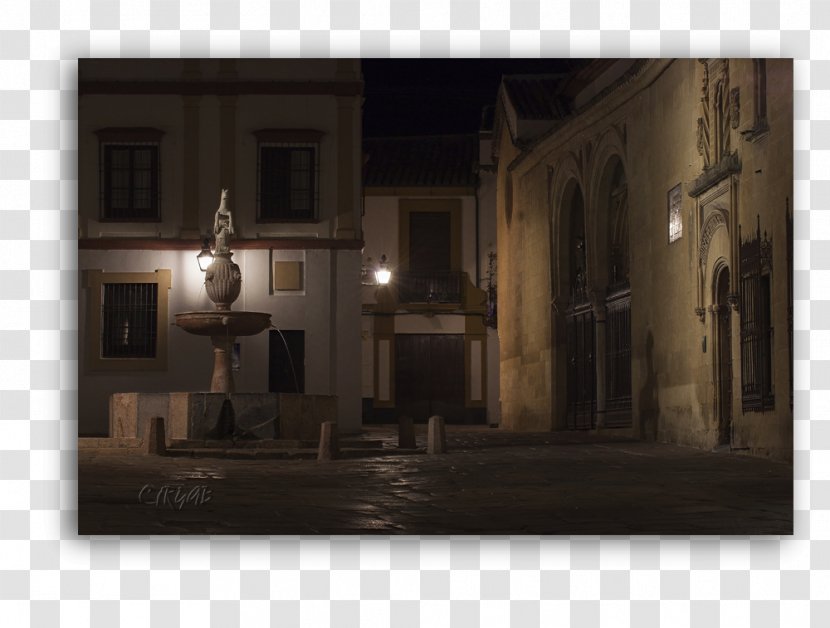 Lighting - Home - San Basilio Transparent PNG