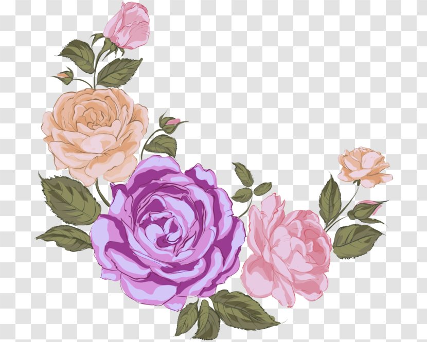 Garden Roses - Flowering Plant - Prickly Rose Transparent PNG