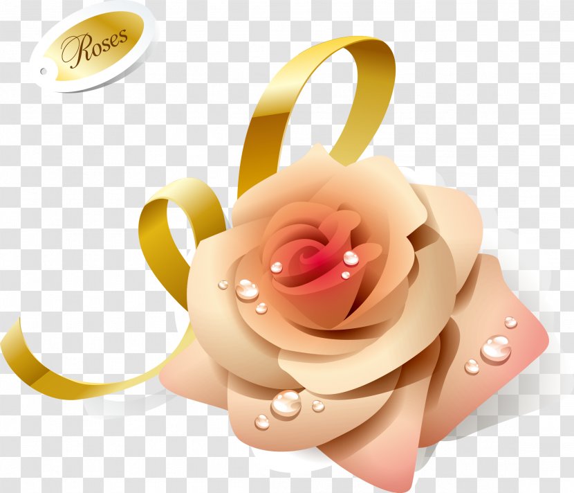 Rose Download - Order - Pink Roses Transparent PNG