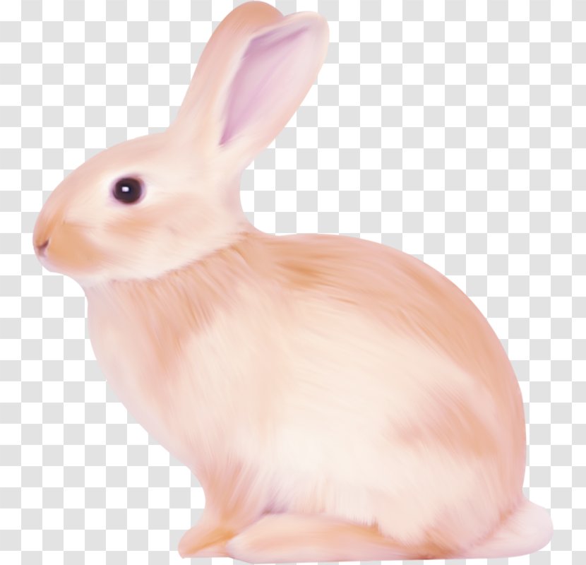 Domestic Rabbit Hare - Wood - Painting Bunny Transparent PNG