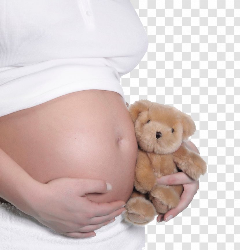 Pregnancy Abdomen Stock Photography Mother Infant - Tree - Pregnant Woman,belly,pregnancy,Mother,Pregnant Transparent PNG