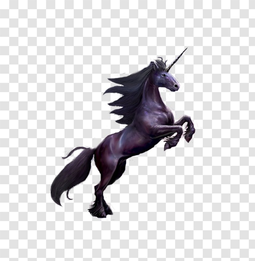 Unicorn Mustang Stallion Mane Halter - Legendary Creature Transparent PNG