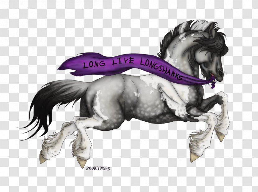 Mane Pony Mustang Stallion Halter Transparent PNG