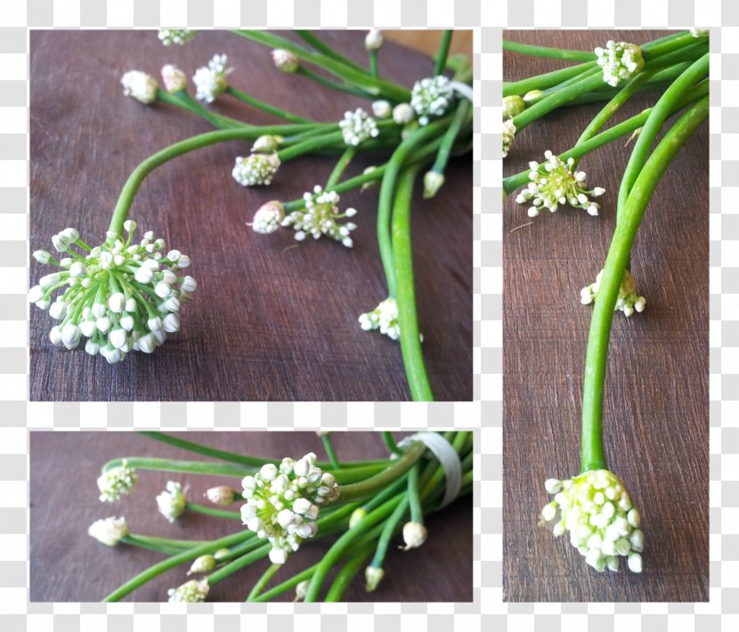 Onion Food Cooking Scallion Curry - Flower Transparent PNG