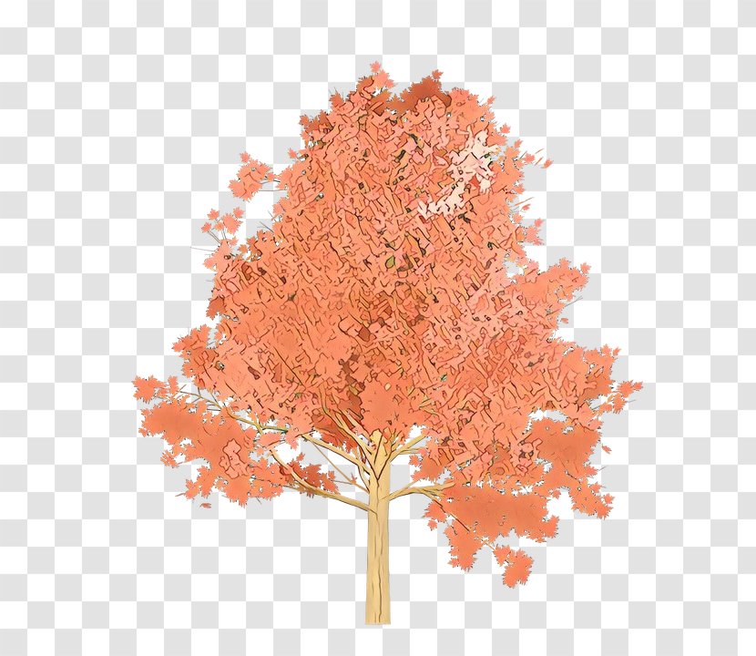 Orange - Peach - Black Maple Transparent PNG