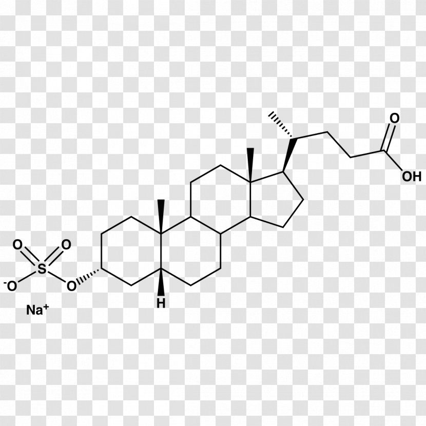 Bile Acid Anabolic Steroid Cholic Ursodiol - Sodium Sulfate Transparent PNG