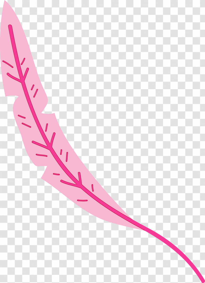 Line Angle Pink M Petal Font Transparent PNG
