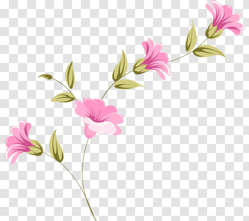 Floral Design Ты — моя нежность Cut Flowers Peony - Plant Stem - Flora Transparent PNG