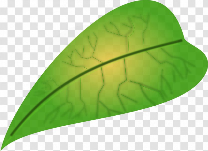 Leaf Apple Clip Art - Maple - Green Leaves Transparent PNG