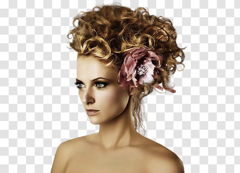 Taylor Swift Long Hair Headpiece Brown - Flower Transparent PNG