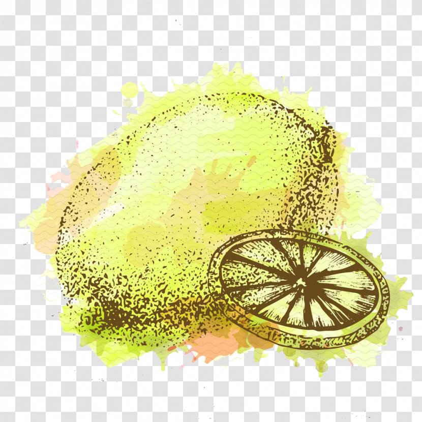 Lemon Auglis Illustration - Hand-painted Transparent PNG