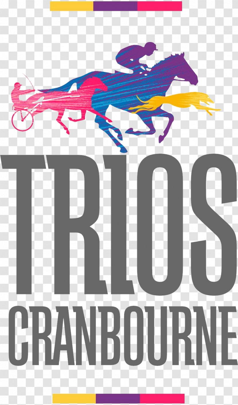 Trios Sports Club Association Merinda Park Cricket Carolina Panthers - Cranbourne - Wedding Hall Transparent PNG