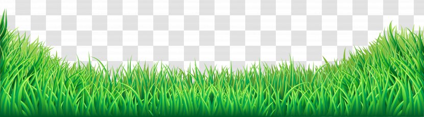Lawn Clip Art - Grass Transparent Image Transparent PNG