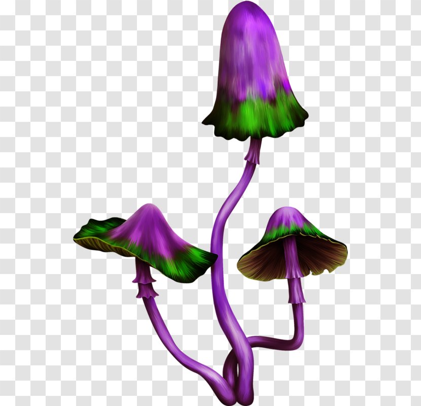 Purple Mushroom Clip Art - Petal - Several Mushrooms Transparent PNG