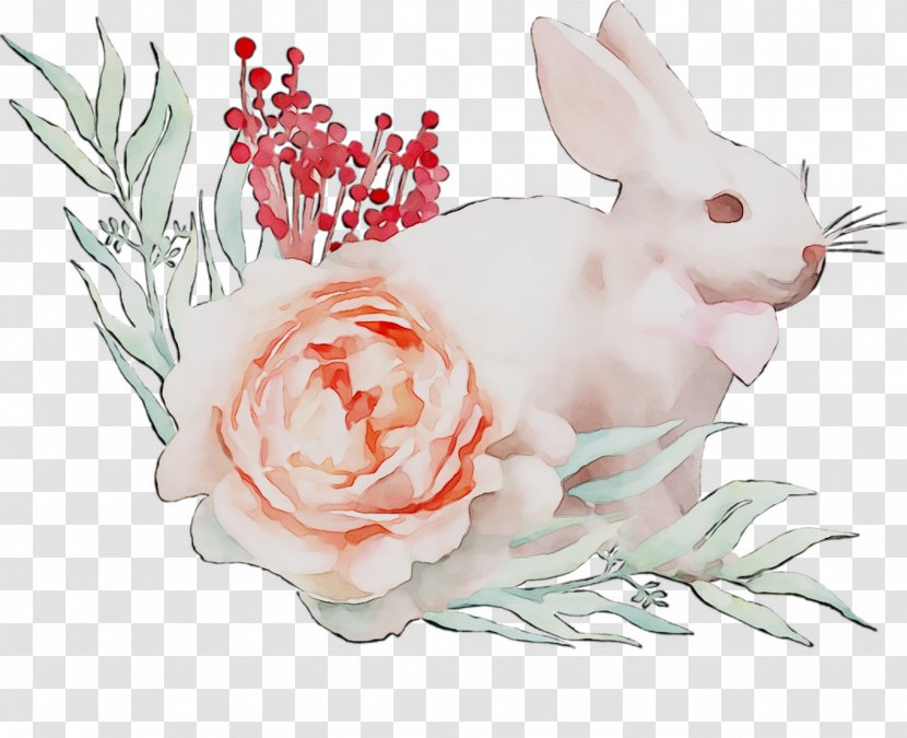 Domestic Rabbit Hare Illustration Floral Design Rose Family - Plant Transparent PNG