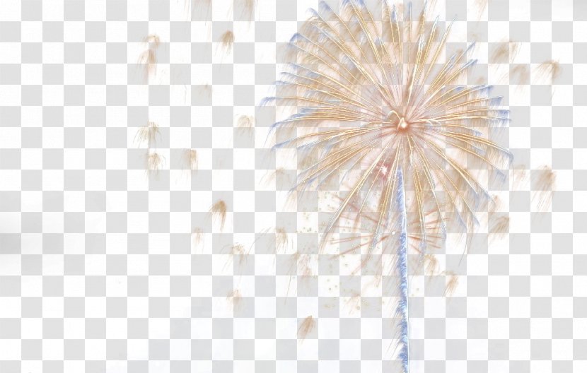 Symmetry White Floor Pattern - Burst Of Fireworks Transparent PNG
