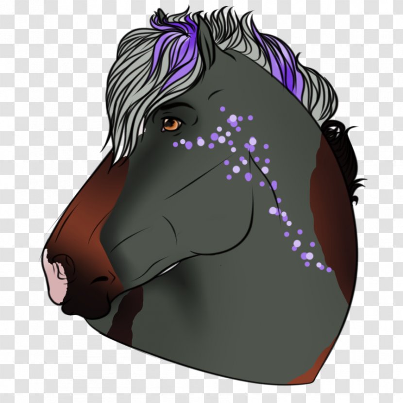 Mustang Snout Halter Cartoon - Mythical Creature Transparent PNG