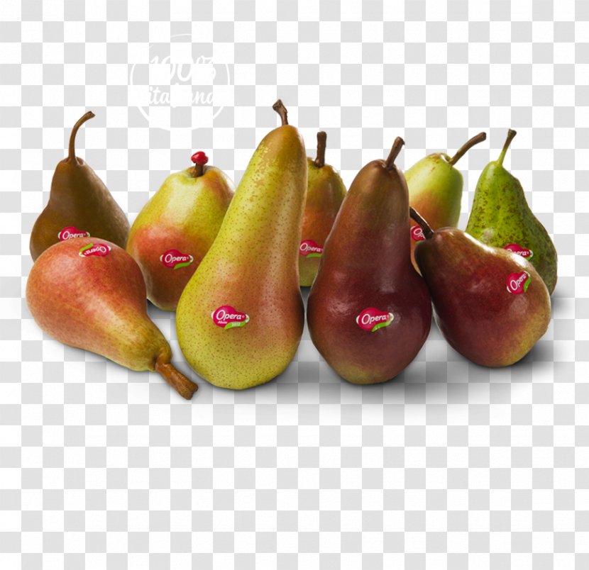 Pear Abate Fetel Accessory Fruit Auglis Transparent PNG