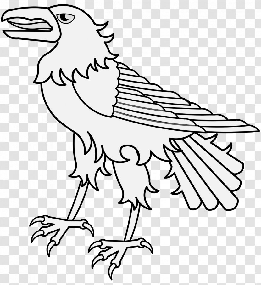 Bird Line Drawing - Raven - Falconiformes Wildlife Transparent PNG