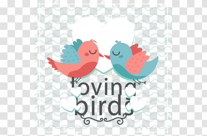 Lovebird Clip Art Area Wavy Background Love Birds Transparent Png