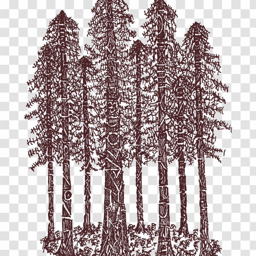Redwood National And State Parks T-shirt Coast Spruce Cathedral Ring - Visual Arts - Tree Transparent PNG