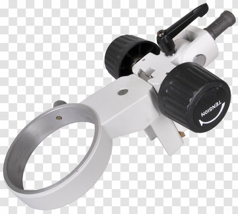 Fucus Optical Microscope Thallus Conceptacle - Com - FOCUS Transparent PNG